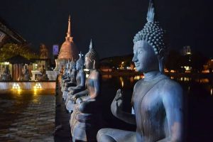 Untitled-5